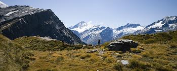 Click to get this image from alamy