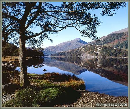 wales01.jpg